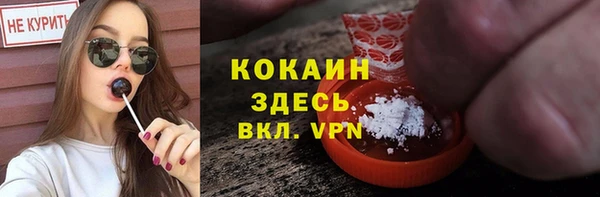 дмт Козловка