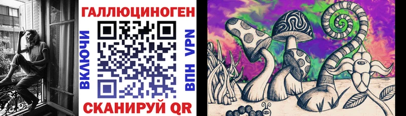 Купить где  Бабушкин  Галлюциногенные грибы Psilocybe 
