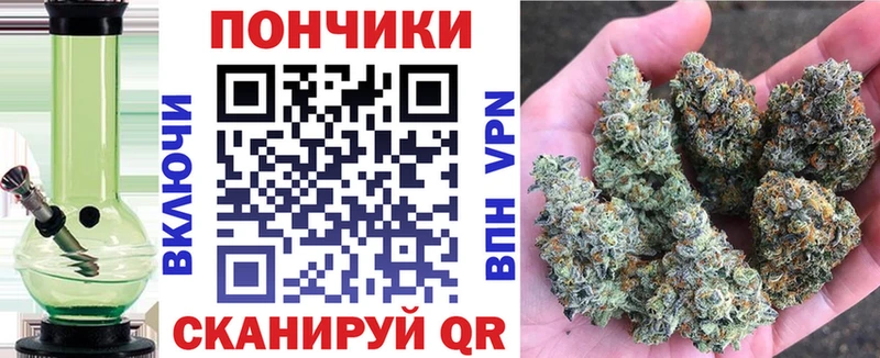 Бошки марихуана гибрид  Купить закладки  Бабушкин 